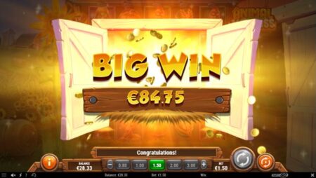 Animal-Madness-slot-play-n-go big win