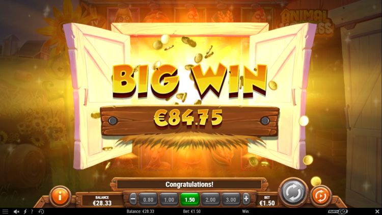 animal-madness-slot-play-n-go-big-win