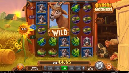 Animal-Madness-slot-review