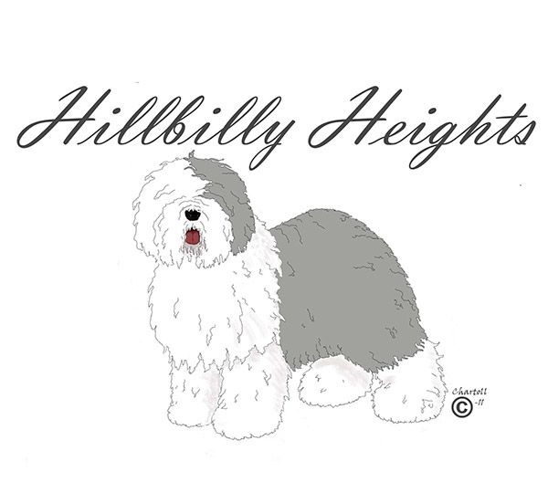 Hillbilly Heights