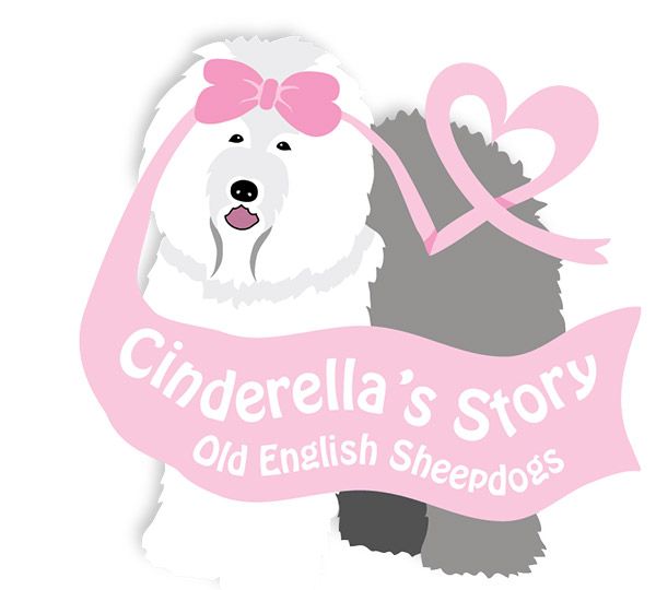 Cinderellas Story
