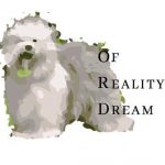 of Reality Dream